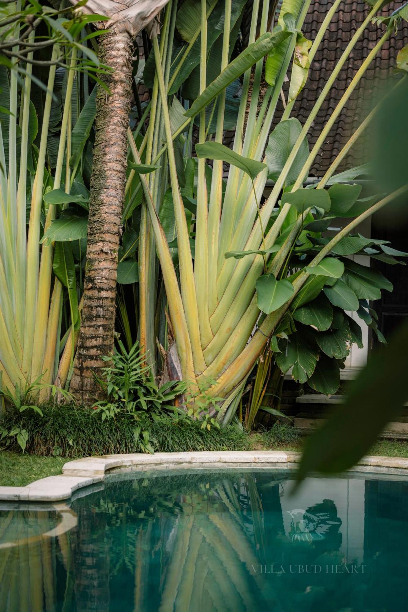 Villa Ubud Heart Exterior photo